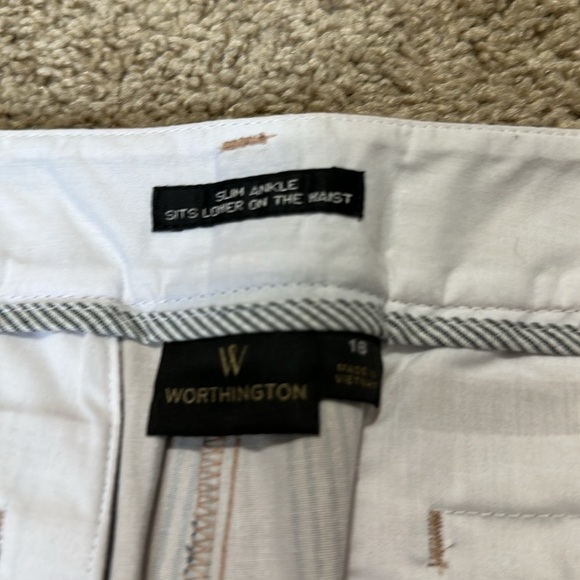 Worthington Iva Stripe Slim Ankle Pants Women Sits Lower On Waist Size 16 - Picture 4 of 7